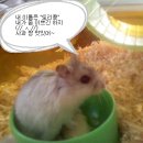 유니버셜베딩 이미지