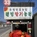 안림딸기농원