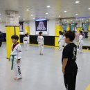 타이거즈태권도장 이미지