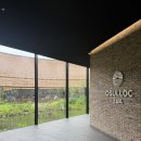 &lt;오설록 티 뮤지엄&gt; 제주 여행 필수코스 솔직 후기