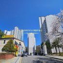 파라다이스부동산공인중개사사무소 네이버블로그