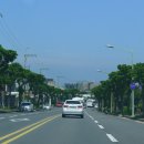 제주 해마 관광호텔 이미지