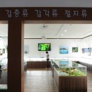 여주곤충박물관 이미지