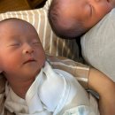 베베산후조리원 | 분당서울대 일란성쌍둥이 36주 제왕절개 후 퇴원이야기 / 베베포레스트 산후조리원 후기