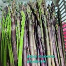 두메유기농원 이미지