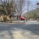 무릉도원면-24 이미지