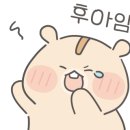 황형범 당구 아카데미 이미지