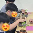 구세군와동지역아동센터 | 🌳 양평 가볼만한 곳, 아이들과 함께한 해피빈 숲 체험 이야기