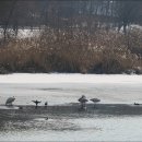 신대호수 이미지