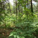 양지 농장2 이미지