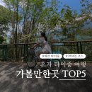 황용농장 | 대만 타이중 혼자여행 | 3박4일 가볼만한곳 TOP5