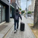 엘쯔스테이 네이버블로그