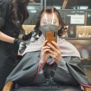 (인천 송도 신도시 미용실) 매직세팅펌 대만족 후기 by 박승철헤어스투디오 송도국제도시점 &#39;