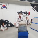 강한 태권도 이미지