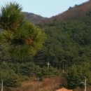 통나무펜션 이미지