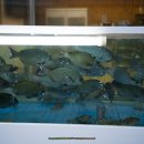 교동택지주유소 이미지