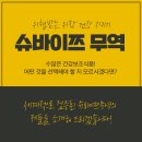 슈바이쯔 네이버블로그
