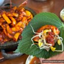 아이맵시 이미지