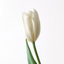 미리내의원 이미지