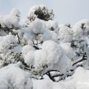 화남카센타 이미지