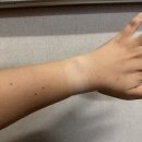 07.17 - 07.23