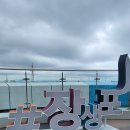 그네일 - 중구 우정7길 4 | [울산 여행] 울산 장생포 웨일즈 판타지움 공중그네 웨일즈 스윙 내돈내산 후기