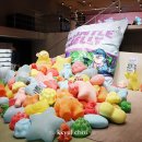젠틀몬스터 하우스 도산 젠틀젤리 컬렉션 팝업, 신상 선글라스 여자착용컷