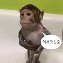 상화유치원 | 나 벌써 4학년