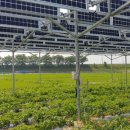 세정태양광발전소 이미지