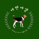 에벤에셀 이미지