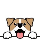 사송 동물 메디컬센터 이미지