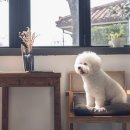 디와이인테리어 이미지
