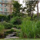 광교에듀공인중개사사무소 이미지