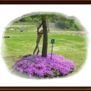 대굴령마을 이미지