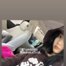 조이노래 이미지