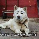 바이랜드