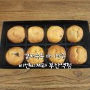 7176 | 부산 초량 빵집 | 부산 3대 빵집 비엔씨제과 부산역점 후기