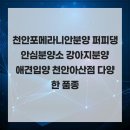 퍼피댕 안심분양소 강아지분양 애견입양 천안아산점 | 천안포메라니안분양 퍼피댕 안심분양소 강아지분양 애견입양 천안아산점 다양한 품종