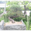 비디오랜드 이미지