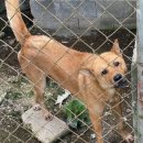 내장농장 이미지