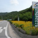 금계초등학교 이미지