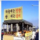 영광문구 - 구미시 송동로 177 | 영광문구