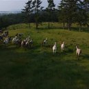 탐라국축산 네이버블로그