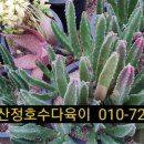 우각농장 네이버블로그