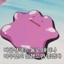 달지붕 이미지