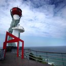 꿈꾸는 바다 이미지