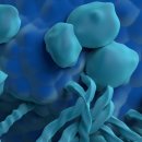 빠른케어 이미지