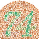 색맹 테스트, 증상 (색약, 색각 이상, 적녹색약) 이미지