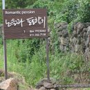 노을과포도향기 이미지