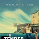 TENDER(텐더)